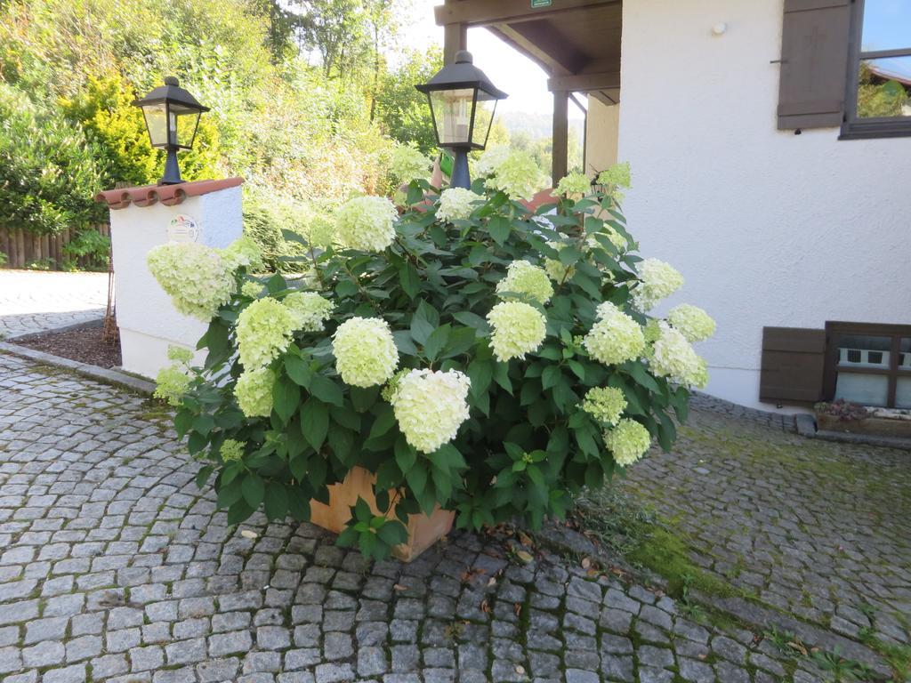 Hittenpichl Bodenmais Exteriér fotografie