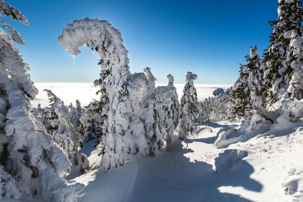 Hittenpichl Bodenmais Exteriér fotografie