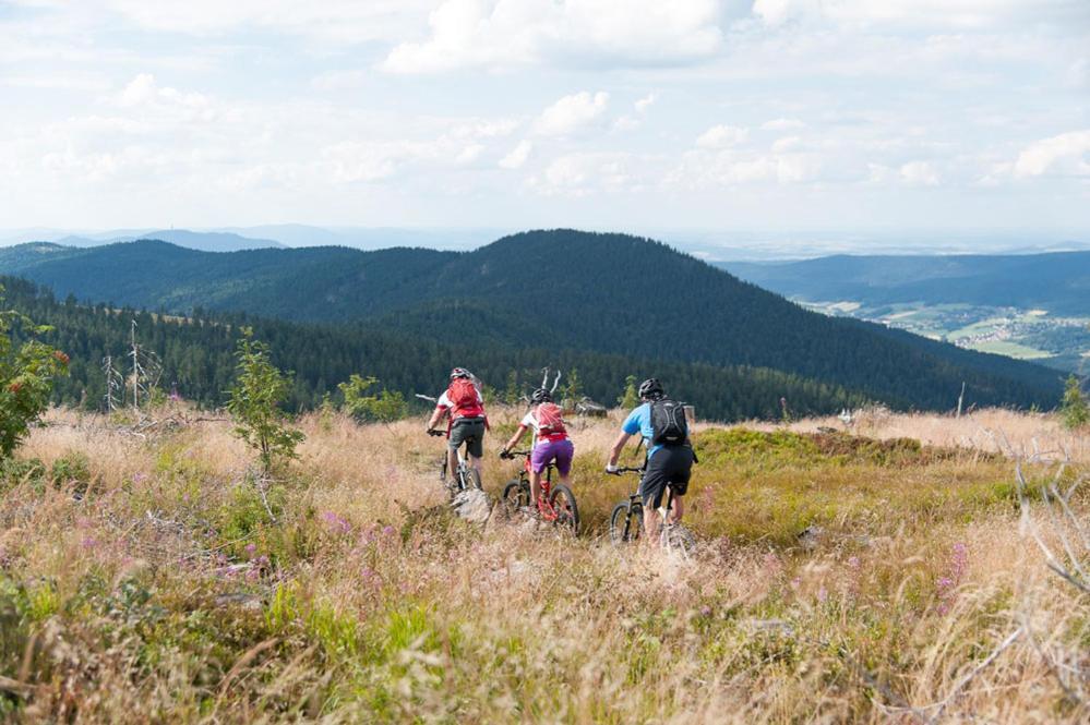 Hittenpichl Bodenmais Exteriér fotografie